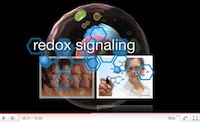 Click above to play ASEA breakthrough video